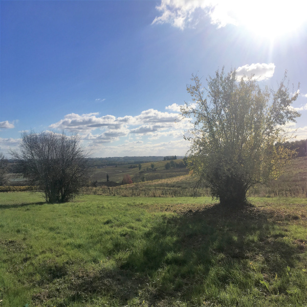 Offres de vente Terrain Gornac 33540