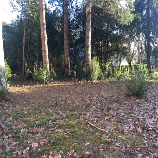 Offres de vente Terrain Créon 33670