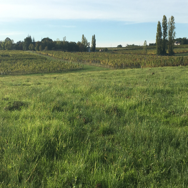 Offres de vente Terrain Targon 33760